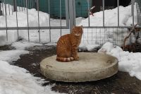 После праздников в городе станет теплее.