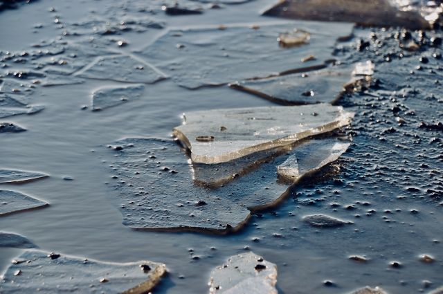 В Таганроге с отколовшейся льдины спасли более 20 человек