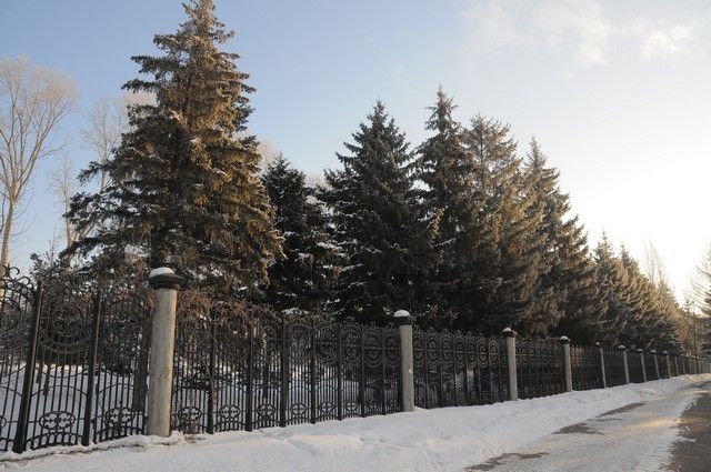 В ночь на 23 февраля в Омск придёт аномальный мороз