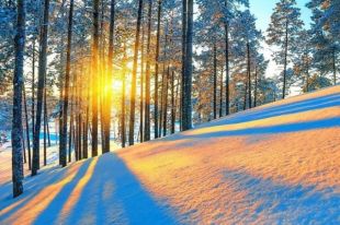 Погода на 23 февраля: в некоторые регионы страны возвращаются морозы