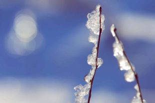 24 февраля: церковный праздник, именины, что нужно сделать в этот день