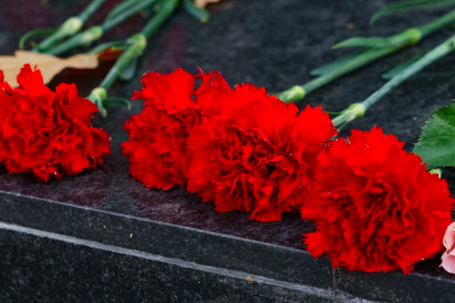 Члены коллегии Минобороны РФ возложили цветы к Могиле неизвестного солдата