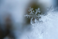 В Оренбуржье ожидаются снегопады, ветер и низкие температуры.