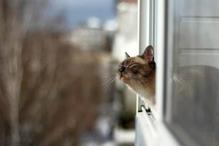 Синоптики рассказали, какой будет погода в первый день весны