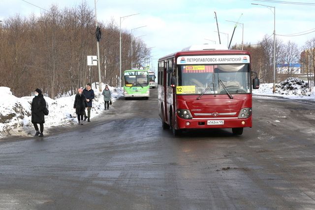 В Петропавловске на Ларина обустроили временный пешеходный переход