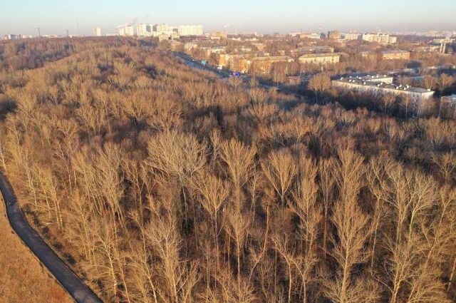 Благоустройство парка «Швейцария» в Нижнем Новгороде выполнено на 40%