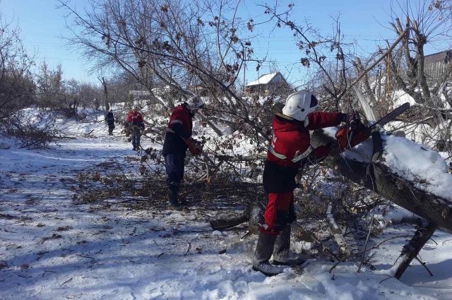 Русло реки Сельдь в Ульяновске очистили от поваленных деревьев