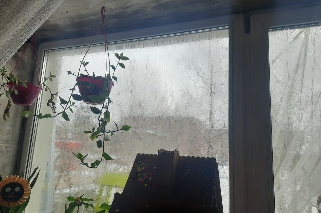 В доме на ул. Пирожкова зимой мокрые окна и плесень на окнах - батареи постоянно прорывает и в воздухе стоит пар.