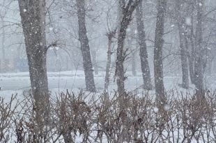 В Тюмень на смену морозам пришло весеннее потепление