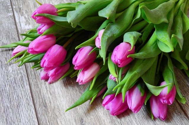 В столицу Урала в преддверии 8 марта прибыло 7 миллионов цветов