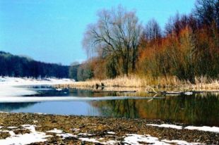 На западе Украины повысится уровень воды, возможны подтопления домов.