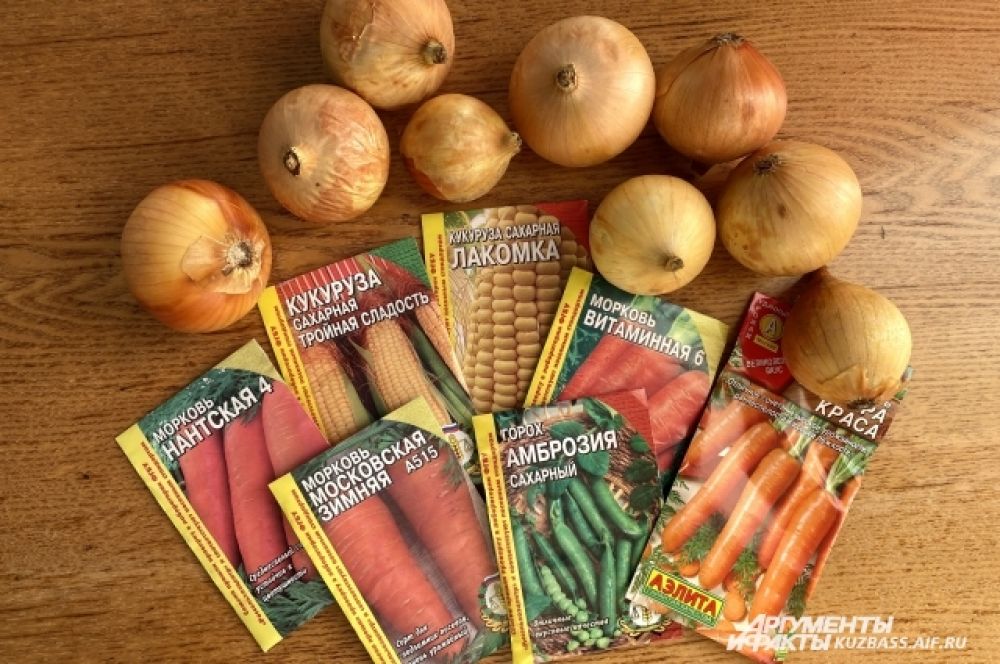  На стандартный набор семян (морковь, свекла, чеснок, лук, огурцы, помидоры, зелень, бобовые) обычно уходит около тысячи рублей. Самый дорогой - лук-севок.