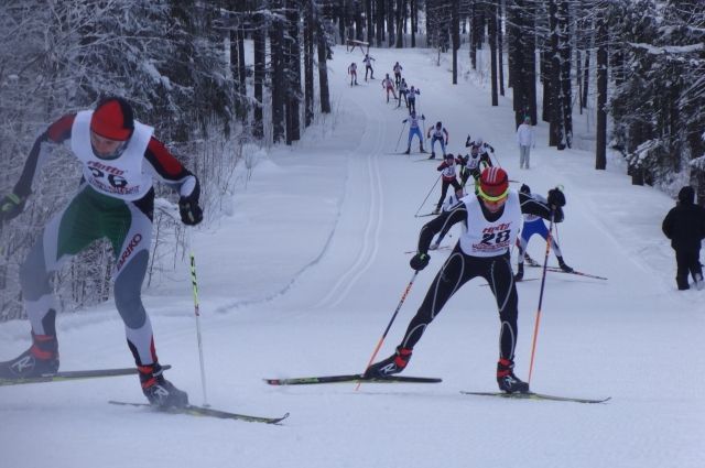 Филиалы по лыжному спорту появятся в шести районах Брянской области