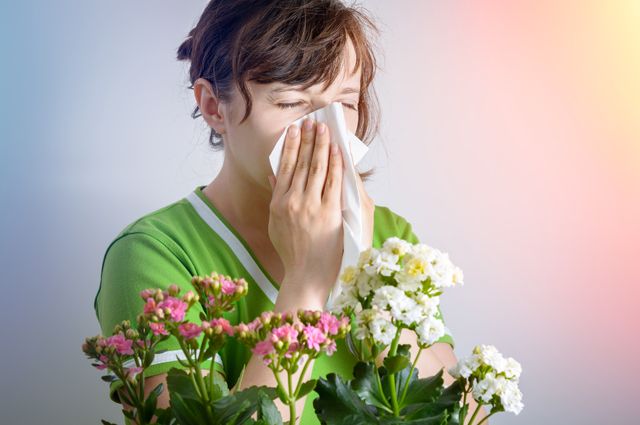 Букет для аллергика. Какие цветы самые безопасные?