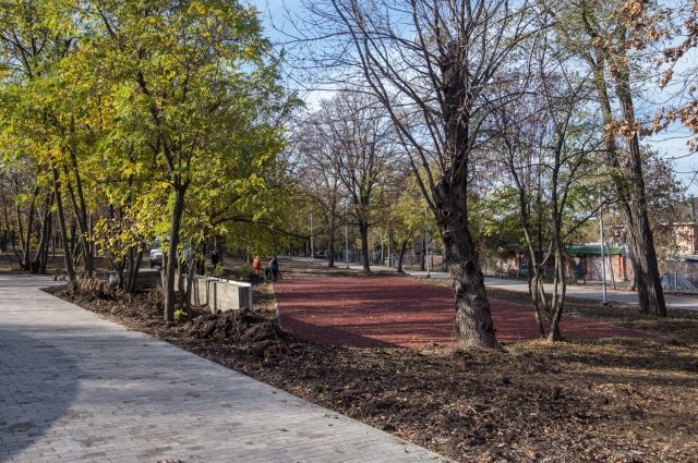 Общественники Ростова поделились дизайн-проектом парка «Дружба»