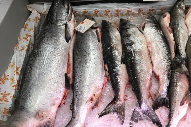 На Камчатке станет больше доступной рыбы