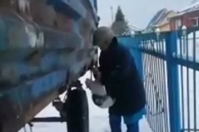 Полиция ищет живодерку, которая пыталась убить кота под Новосибирском