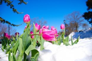 Прогноз погоды на 8 марта: ожидается мокрый снег.