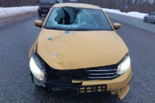 В ДТП под Оренбургом погиб мужчина.