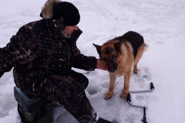 Рыбаки спасли тонущего пса из Оби в Новосибирске