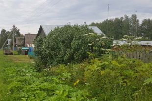 В Украине стартовала программа по восстановлению сел, - Зеленский