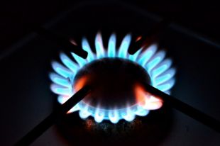 На год вперед. Когда и как могут ввести годовой тариф на газ