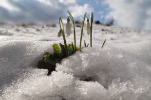 «Первоцвет-2021». Злостных нарушителей накажут почти на 4 тыс. грн