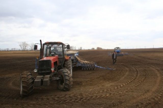 Совхоз «Румянцевское» в Нижегородской области выставлен на торги за 130 млн