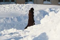 Прокуратура Ленинского района Орска раскритиковала качество уборки снега в городе. 