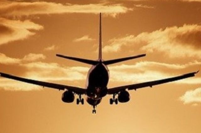 В аэропорту Домодедово задержали рейс в Самару из-за пьяной пассажирки