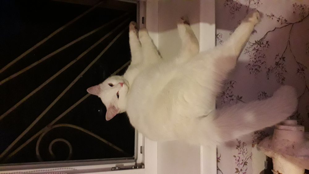 Максим
