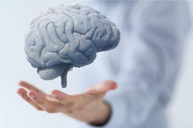 Ученые назвали причину старения мозга