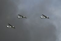 Беспилотные летательные аппараты на полигоне «Капустин Яр».
