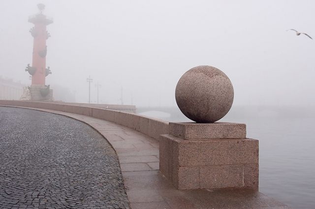 Серая, туманная и снежная погода продержится в Петербурге следующую неделю