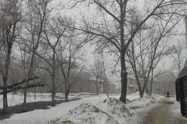Ставропольцам пообещали гололедицу, туман и ночные морозы 14 марта