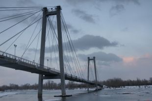 Девушка поделилась, что видела сразу двоих сусликов во время утренней лыжной прогулки на острове Татышев.