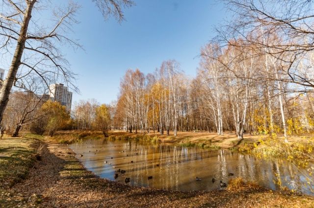 Жители Екатеринбурга помогут благоустроить парк 50-летия ВЛКСМ