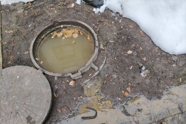 Жители Самары, выбрасывая антиковидные маски в унитаз, засоряют канализацию