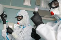 Первые анализы, чтобы подтвердить вирус, отправли в лаборотарию Новосибирска. 