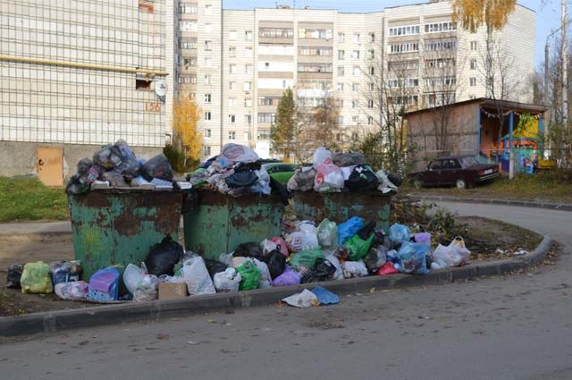 Из Кумженской рощи в Ростове вывезли 7 тонн мусора