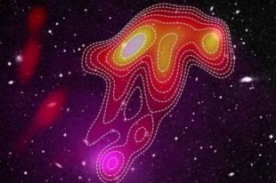 Астрономы обнаружили в небе яркую «космическую медузу»