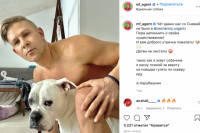 ​Фотосессия обнаженного новосибирского певца Мити Фомина с собакой возмутила поклонников. На снимках, опубликованных в соцсети Instagram, голый артист сидит верхом на домашнем любимце. 