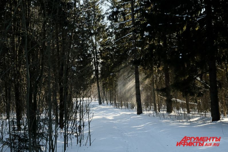 Памятный комплекс в честь космонавтов Беляева и Леонова в Усолье.