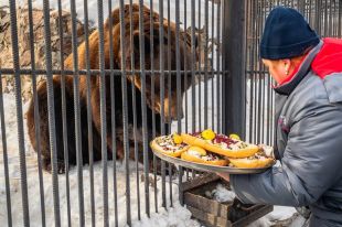Через пару минут от бутербродов не осталось и следа.