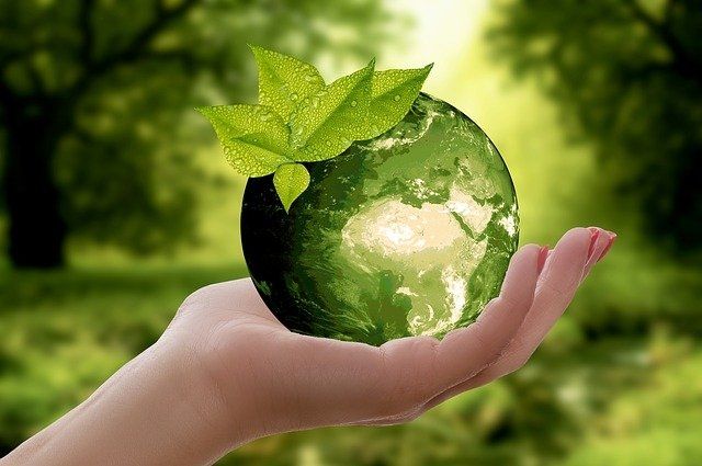 Саратовская область заняла 60 место в экологическом рейтинге