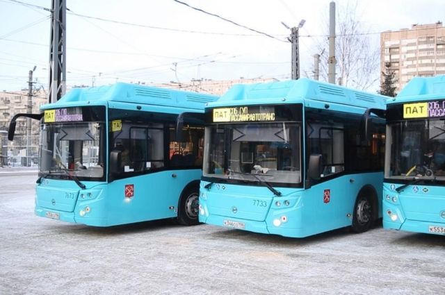 Почти 1,5 млрд рублей потратили на покупку 226 автобус в Брянской области