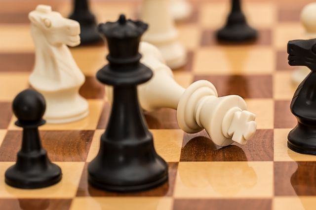 В Екатеринбурге спустя год продолжится прерванный шахматный турнир