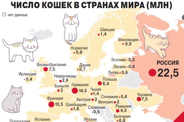 Сколько кошка живет