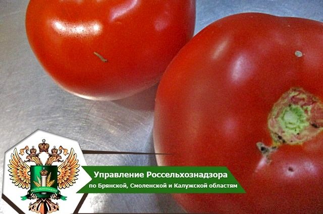 Из Турции в Брянскую область пытались провезти 60 тонн зараженных томатов