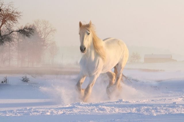 25 марта: православный праздник, кто родился, именины ...